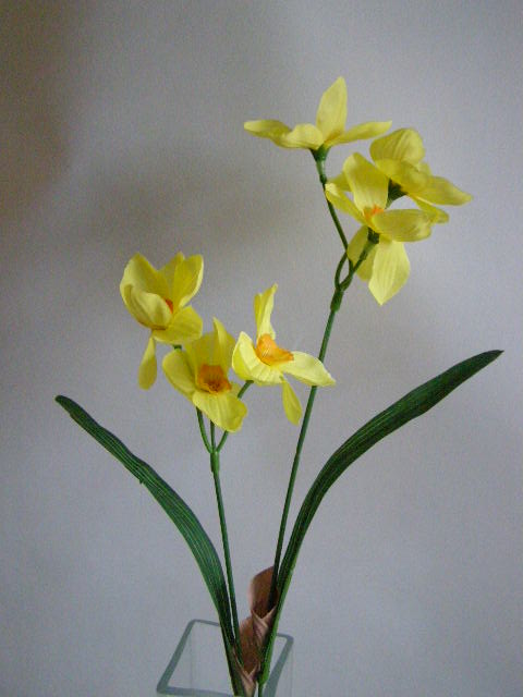 kytice narcisek - žlutá s gypsophilou