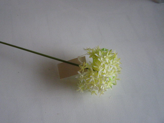  květ česneku se stonkem - fialový