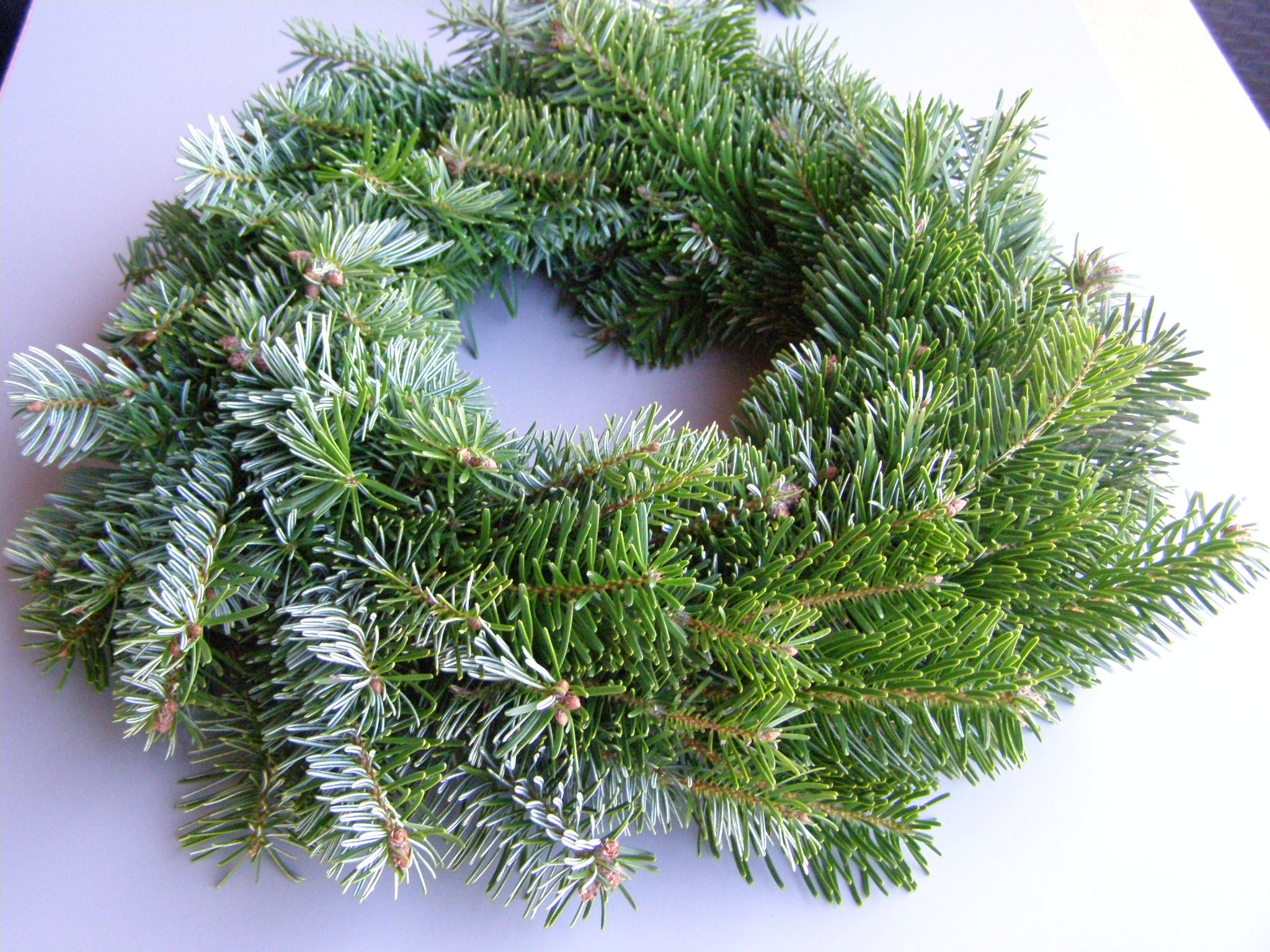 chvojový věnec - kavkazská jedle - 35 cm
