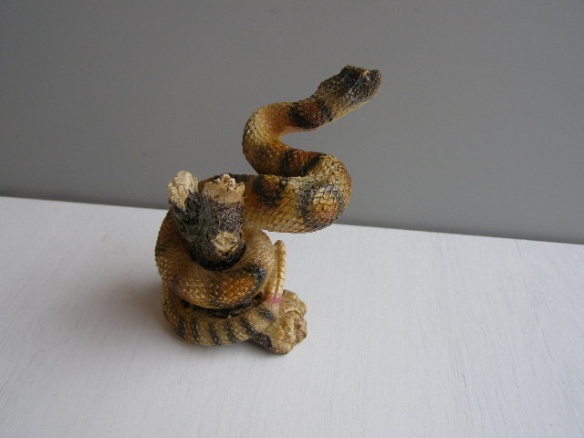 chřestýš zatočený - méně zatočený