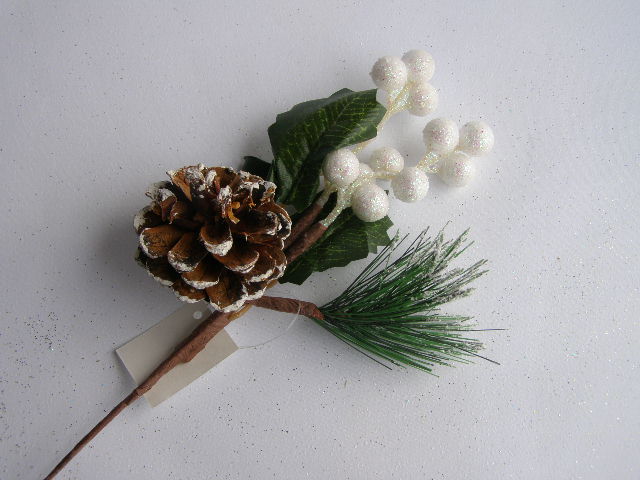 zápich - chvojí, listy, šiška,bílé bobule 