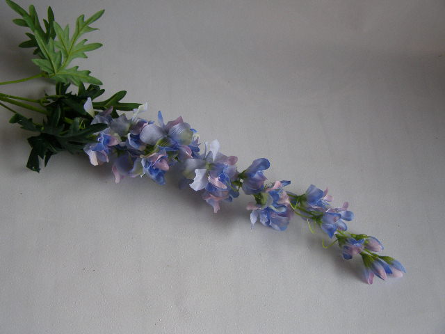 stračka vysoká - světle modrá