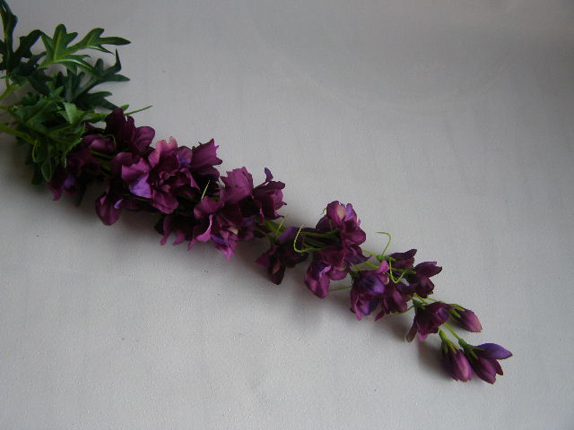 stračka vysoká - tmavě fialová