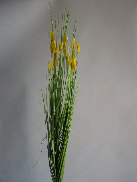 travina s barevnými kvítky na vrcholu - žlutá