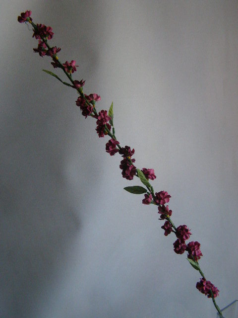 rozkvetlá větev jednoduchá - tmavě červená