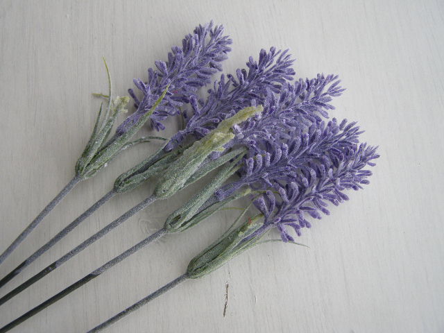 svazek levandulových větviček - 5 ks