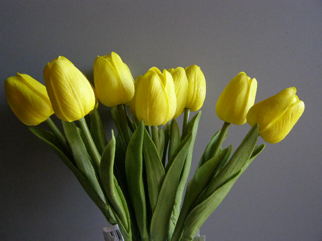 tulipán pěnový - žlutý