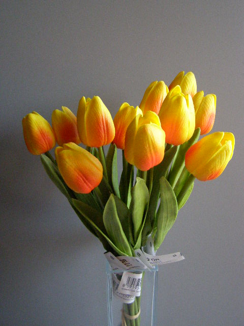 tulipán pěnový - žlutooranžový