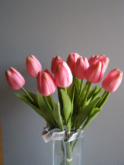 tulipán pěnový - růžový