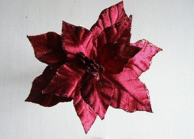 květ vánoční hvězdy - vínová sametová se třpytem