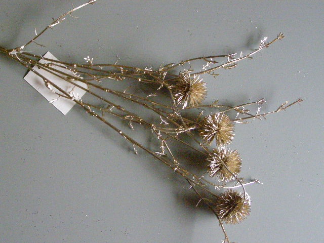větev s bodláky - šampaň matná