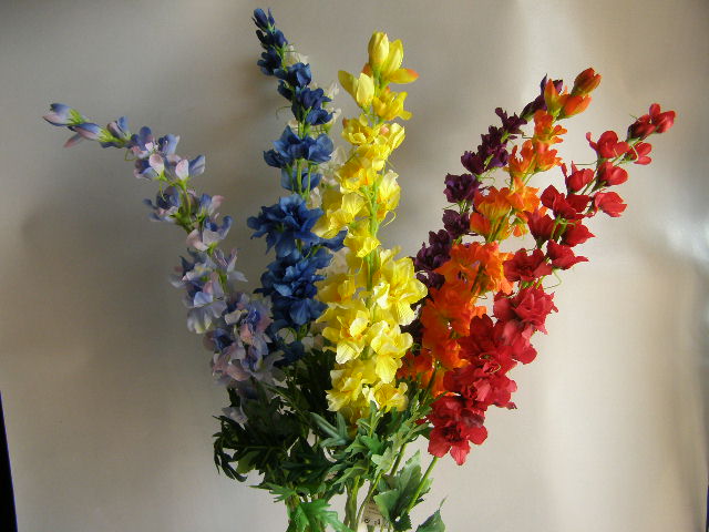 stračka vysoká - tmavě fialová