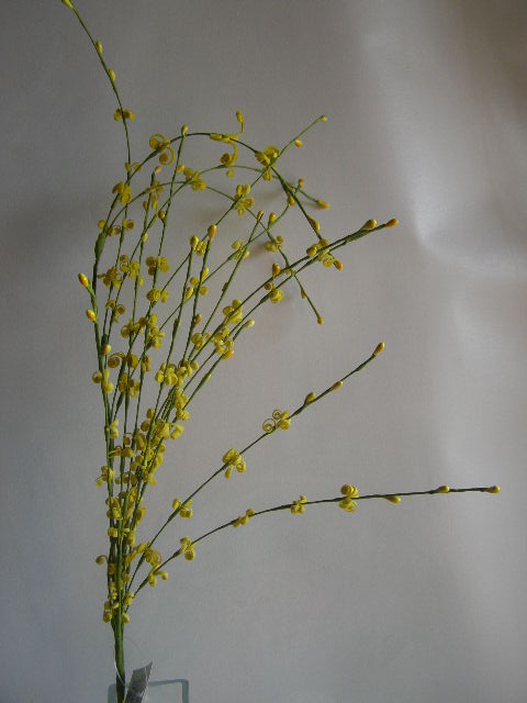 převislé pruty s pěnovými kvítky - žluté