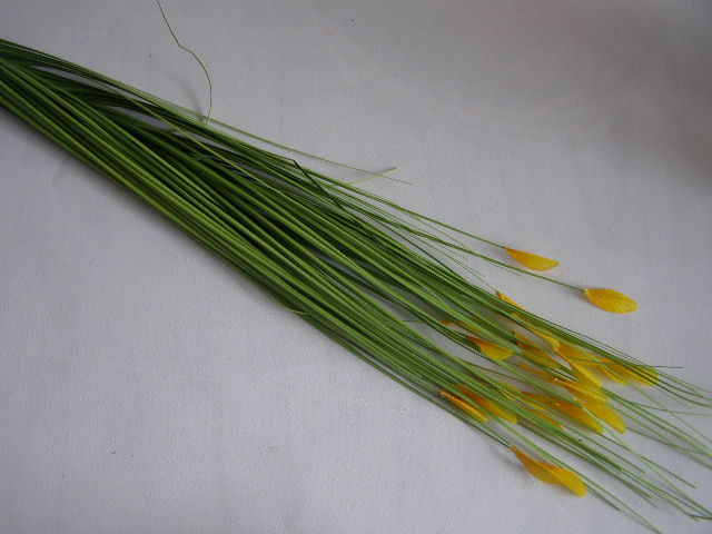 travina s barevnými kvítky na vrcholu - žlutá