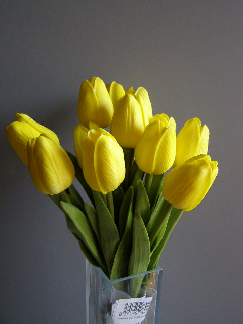 tulipán pěnový - žlutý