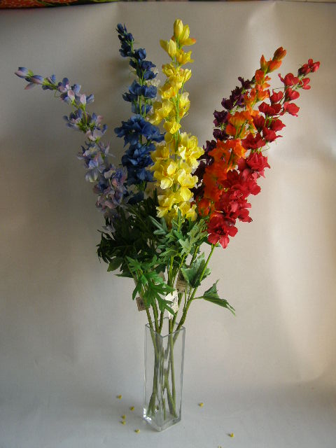 stračka vysoká - světle modrá