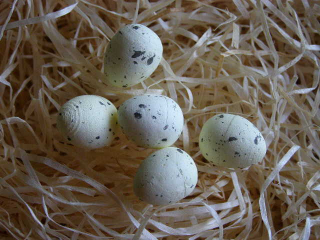 mini vajíčko kropenaté - polystyrén 2 cm - krémově zelené 5 ks