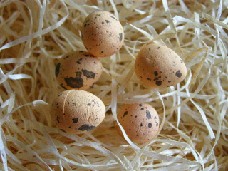 mini vajíčko kropenaté - polystyrén 2 cm - meruňkové 5 ks