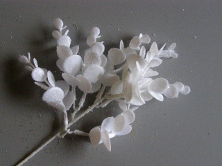 větvička eucalyptus - glitrový bílý